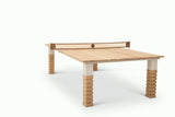 Sean Woolsey Studio Neo Indoor Ping Pong Table